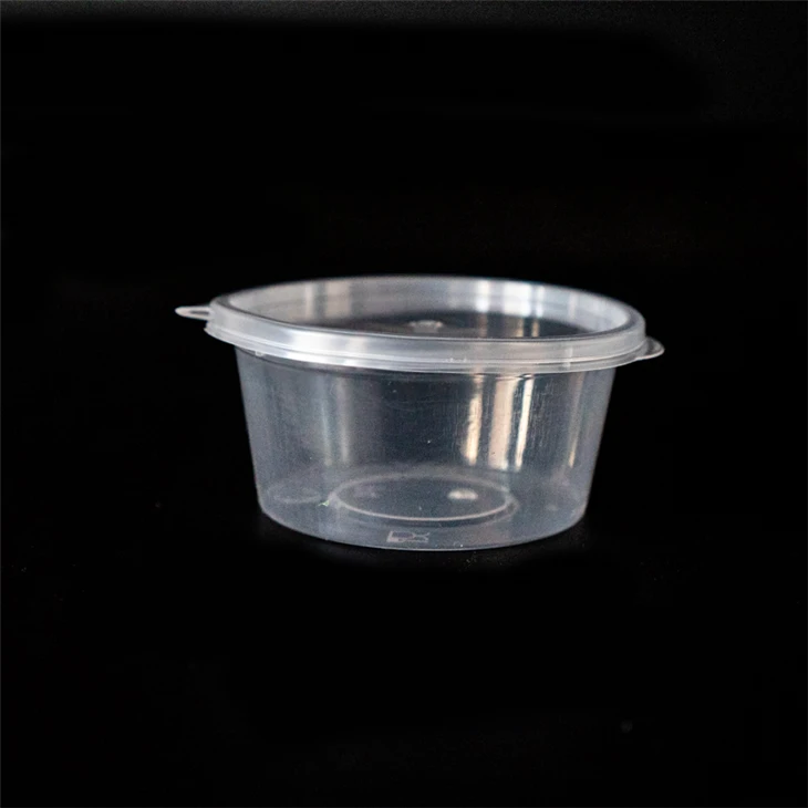 Condiment Containers - Leak-Proof Sauce Cups in Multiple Sizes (6)