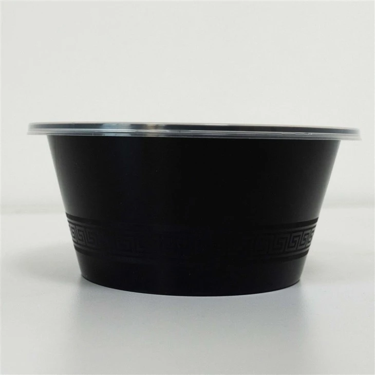 Leak-Proof Plastic Bowls - Safe for Transport and Storage (6)