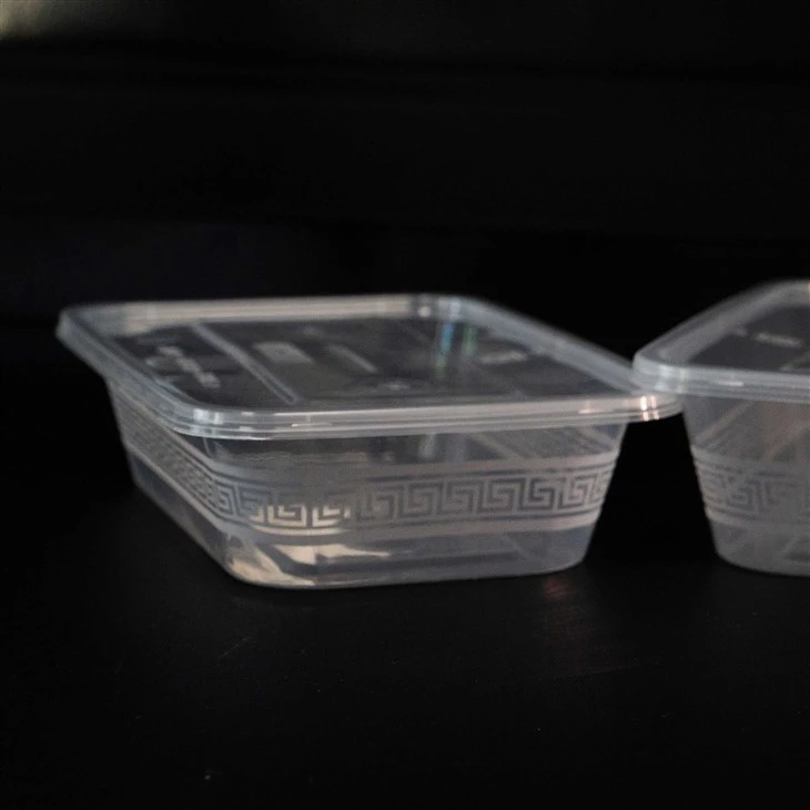 Wadah Makanan Plastik Untuk Sekali Pakai - Ideal Untuk Peralatan Makan Sekali Pakai
